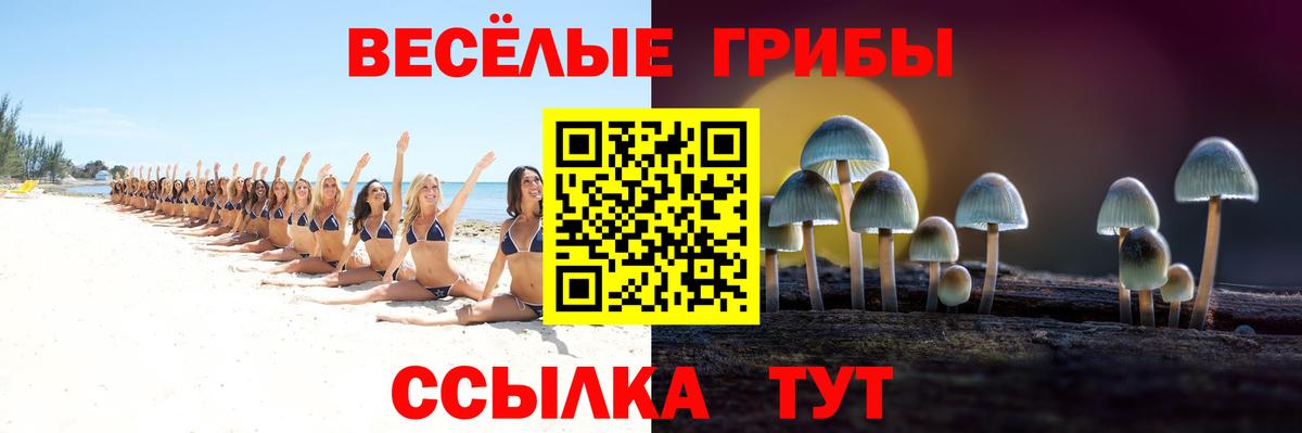 Псилоцибиновые грибы Cubensis  Вход с VPN  дарнет шоп  Кингисепп 